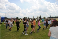 Uczestnicy pikniku tańczą w tle drzewa, niebo