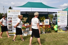 Zdjęcie przedstawia trzy kobiety idące, namiot, baner reklamowy