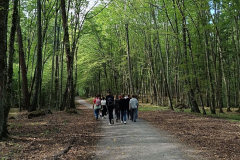 Grupa osób idzie droga przez las