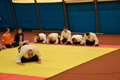 Instruktorzy aikido kłaniają się klęcząc