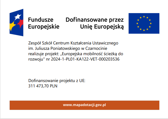 plakat 2024 Włochy